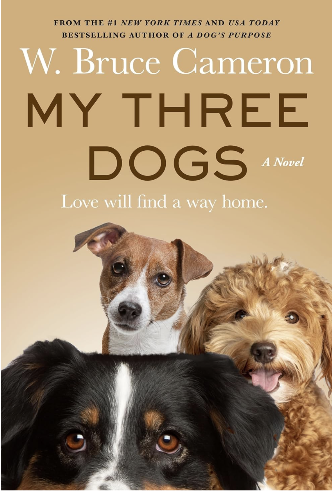 my three dogs book novel 