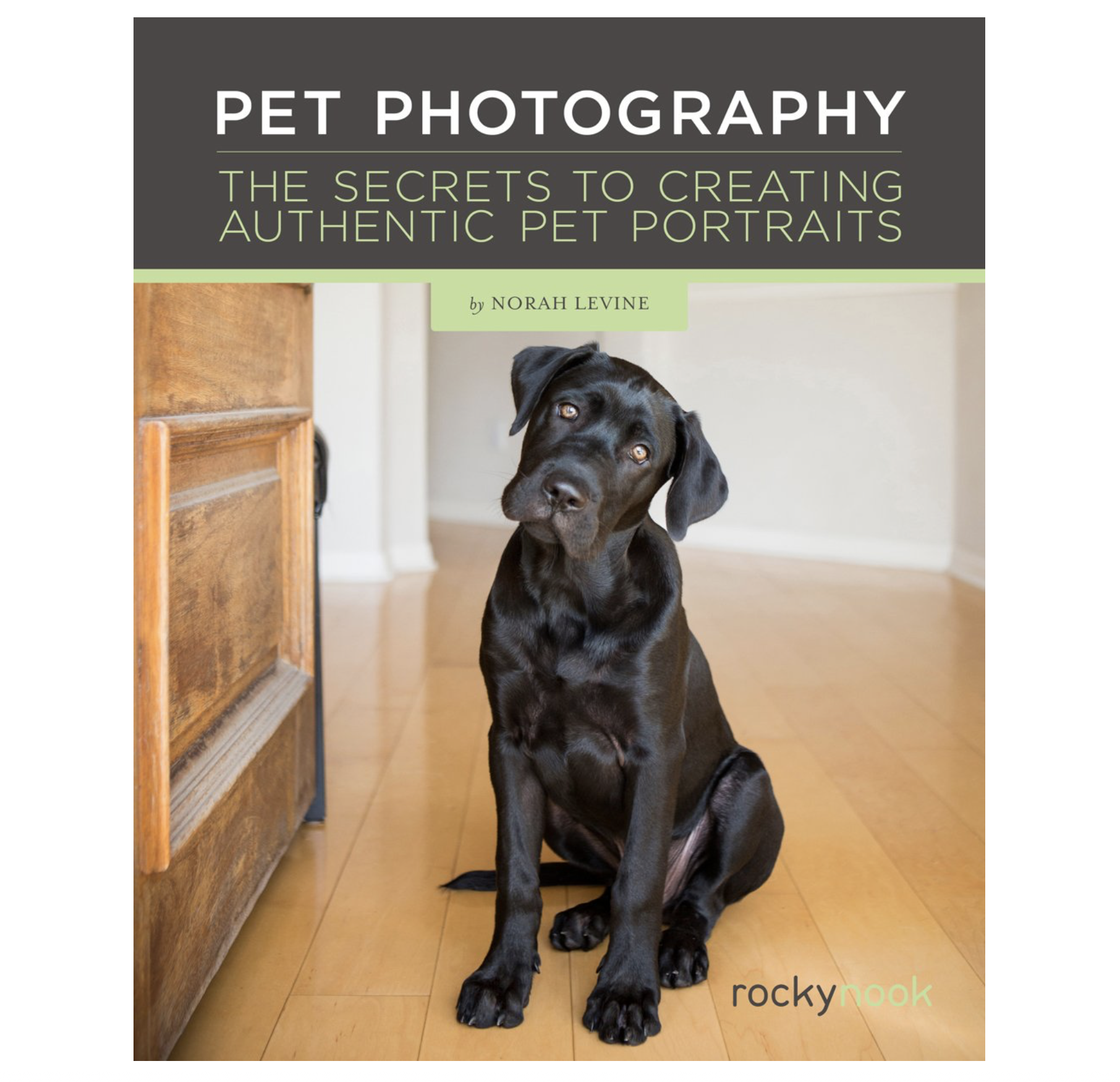 dog photography book