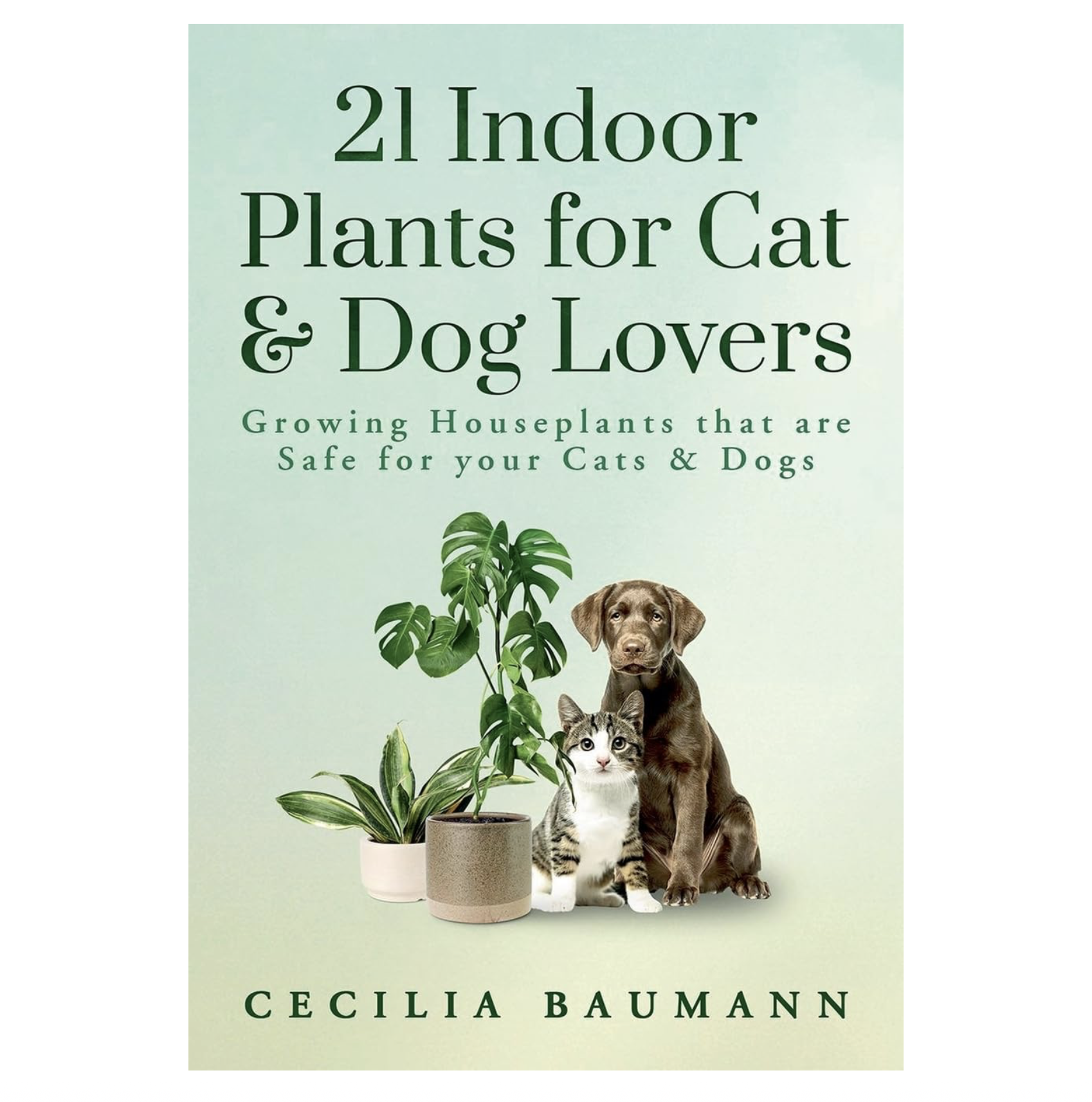 indoor plants that are pet dog cat safe 