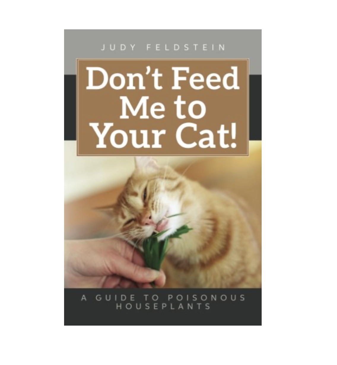 what plants cats cannot eat