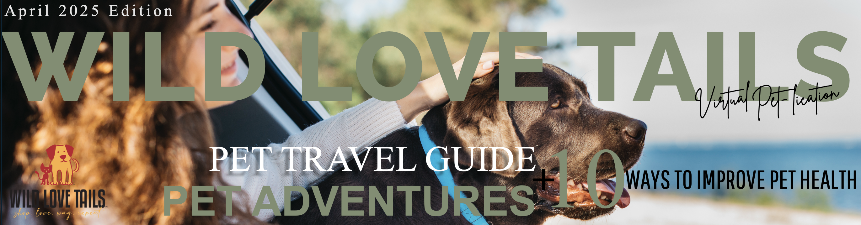 pet magazine, pet blog, pet articles, pet travel blog, pet travel guide, pet travel, how to travel with dogs