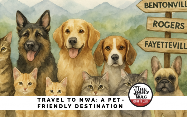 pet-friendly dog-friendly northwest arkansas bentonville rogers fayetteville springdale
