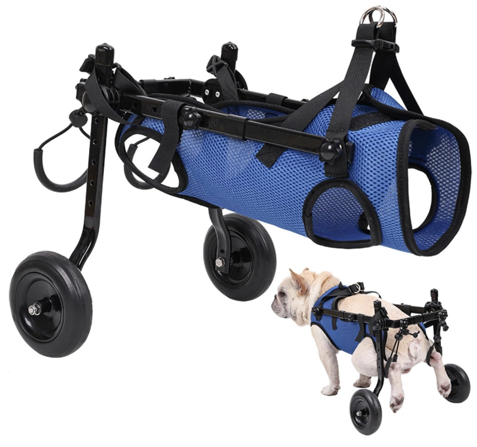 disabled dog chair wheels wheelchair 