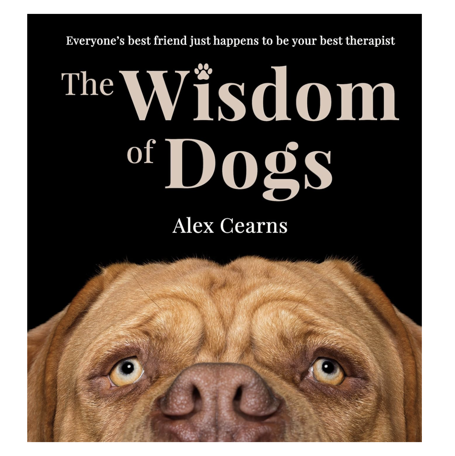 Alex Cearns Book photography