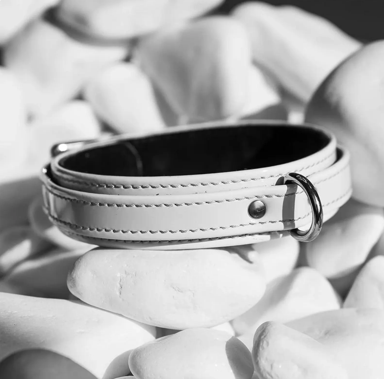 made in Ukraine Dog Collar White Leather