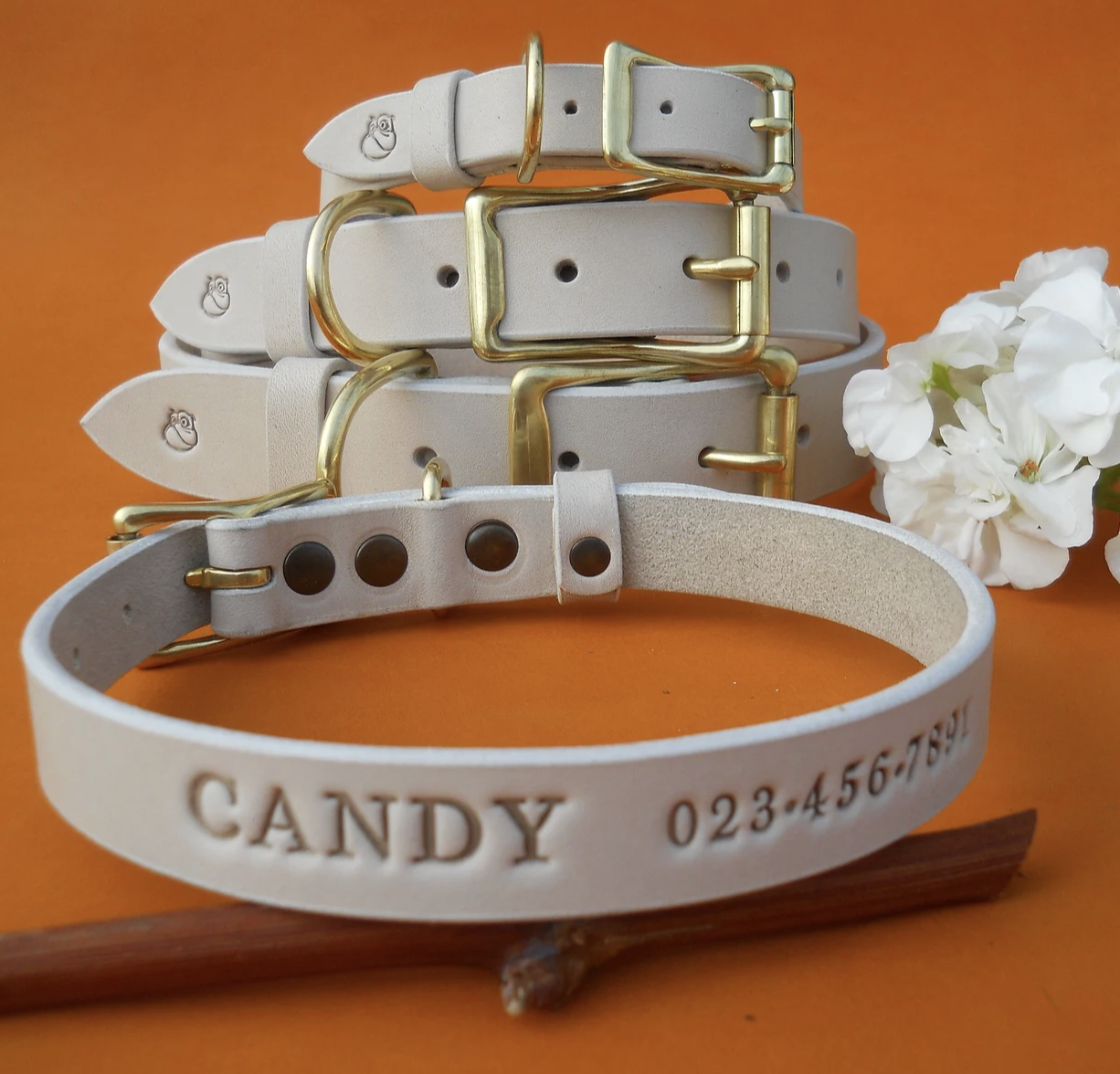 personalized dog collar white leather made in Ukraine