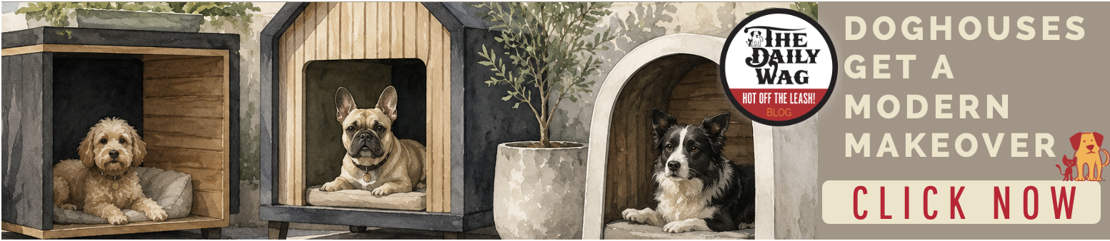 blog about modern dog houses and ideas to build a DIY doghouse