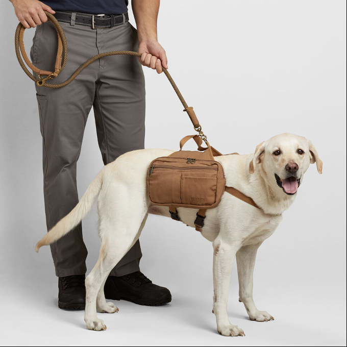dog saddlebag backpack with leash