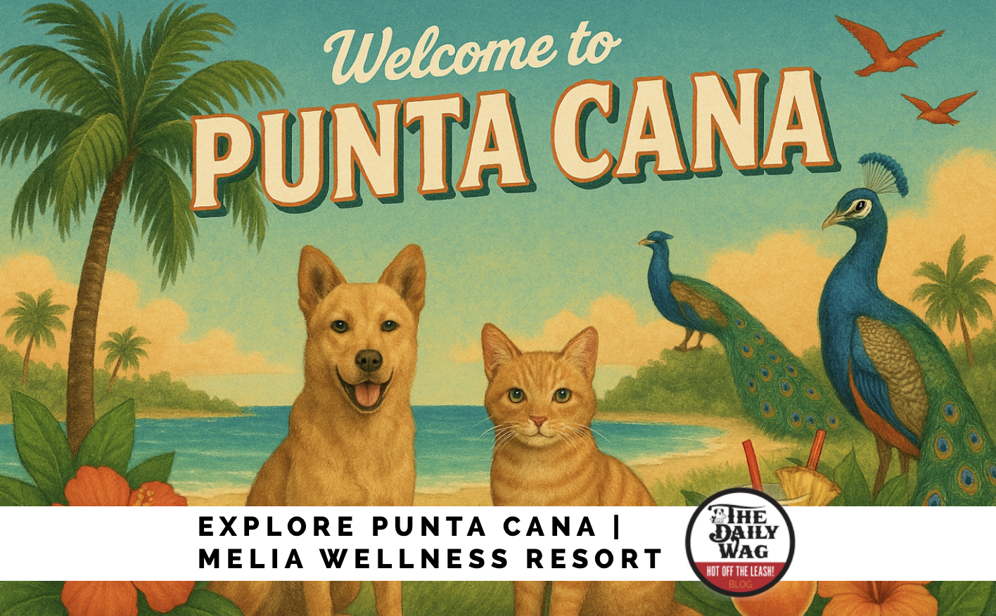 Explore Punta Cana: Pet-Friendly Meliá Punta Cana Wellness Inclusive – Adults Only Resort
