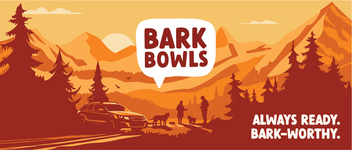 barkbowls bark bowl to go dog food