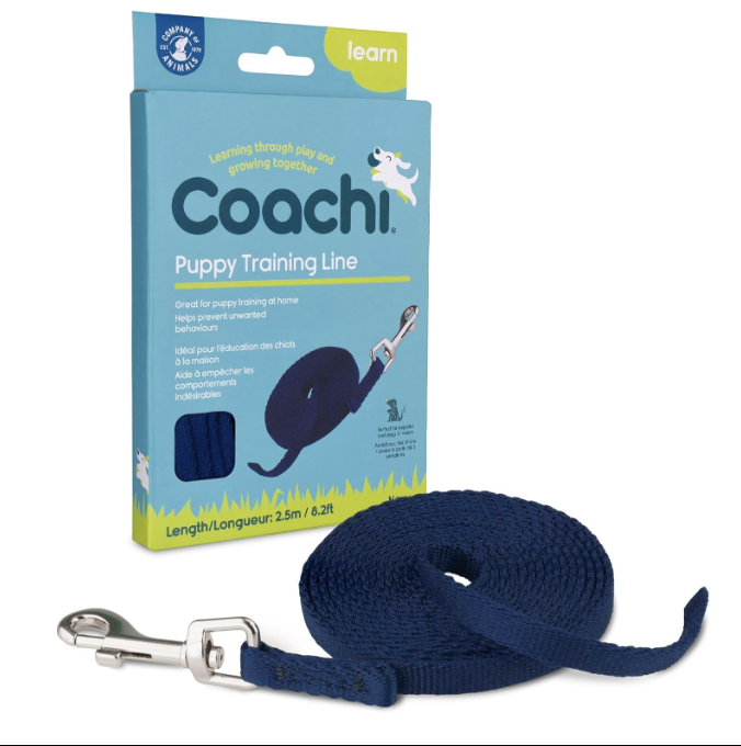 dog puppy house line lead leash training 