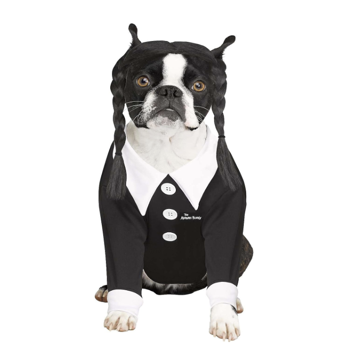 Wednesday Addams dog costume 