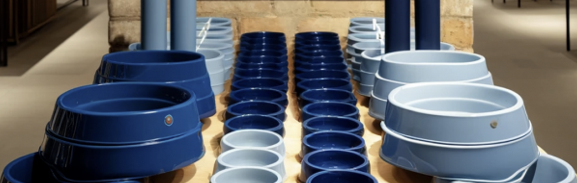 blue dog bowls