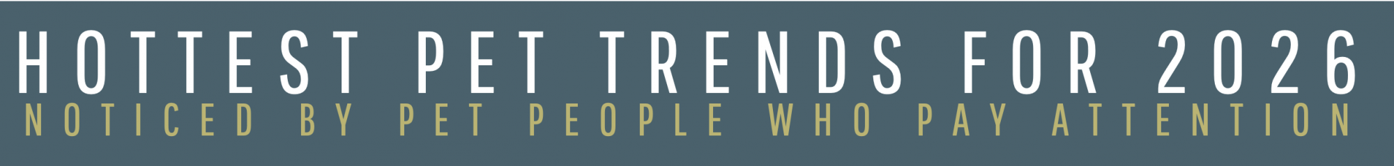 HOTTEST PET TRENDS WE ARE SEEING FOR 2026 - dog cat pets trends what is hot hottest products