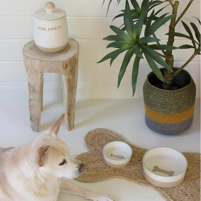 Kalalou pet supplies bowls designer 