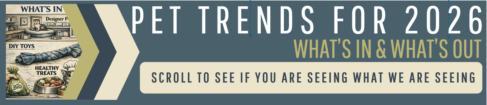 what are the hottest pet supplies for 2026