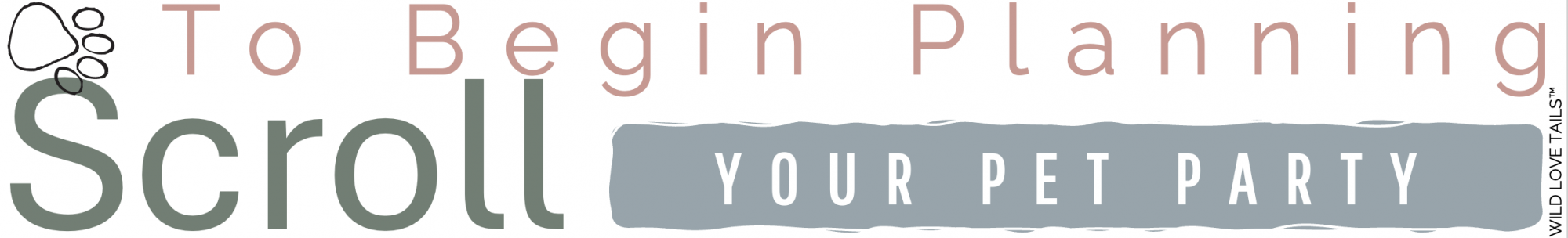 Where to begin planning a pet party