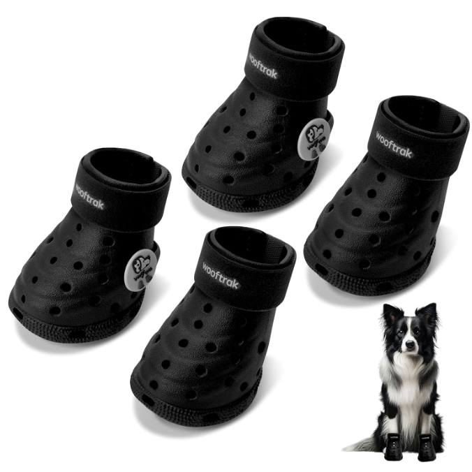 black dog crocs sandals 