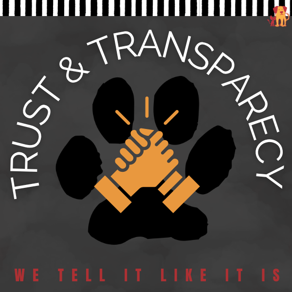 trust and transparency information block art