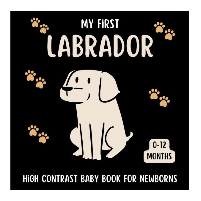 labrador baby book gift 