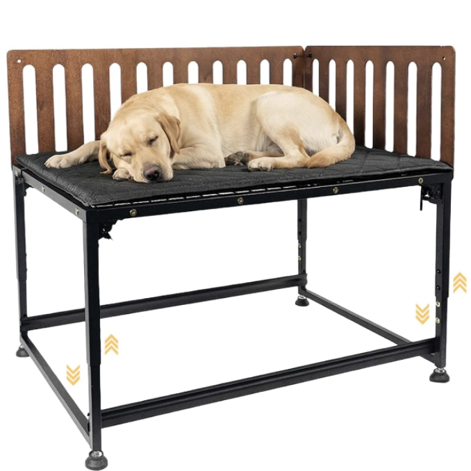 Bedside pet elevated bed for large breed raised