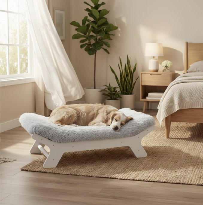 Elevated bed for pets bedroom decor