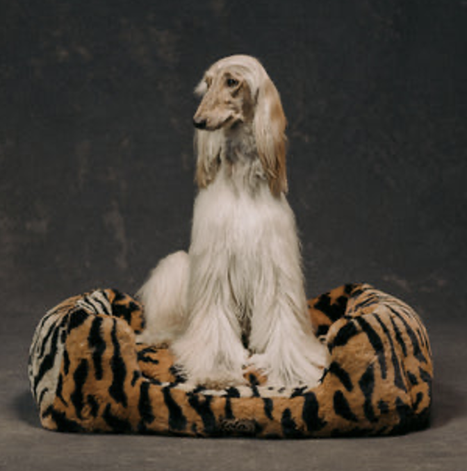 Faux fur luxury dog bed animal print