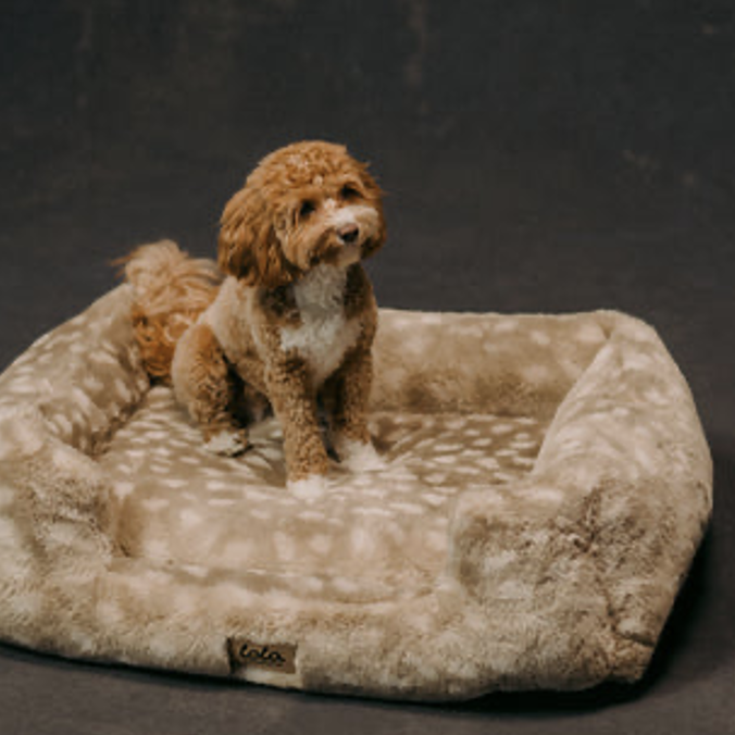 Lola blanket dog bed animal print