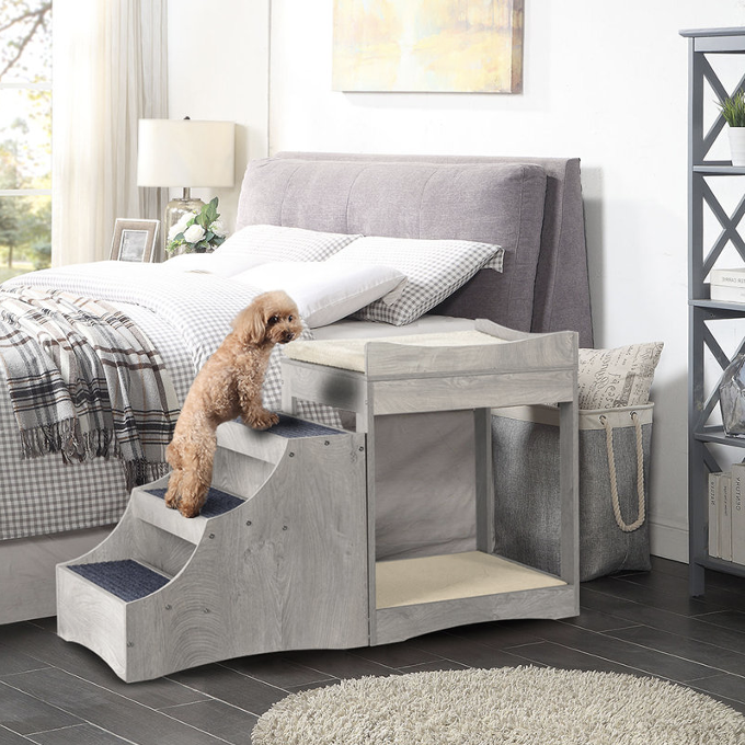 Pet beside bed with steps