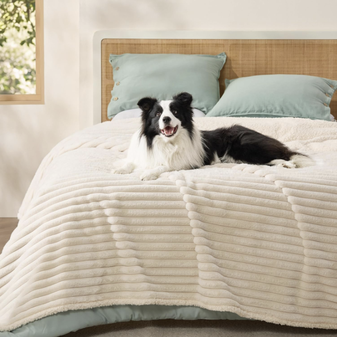 Washable pet-friendly blanket bedding cream
